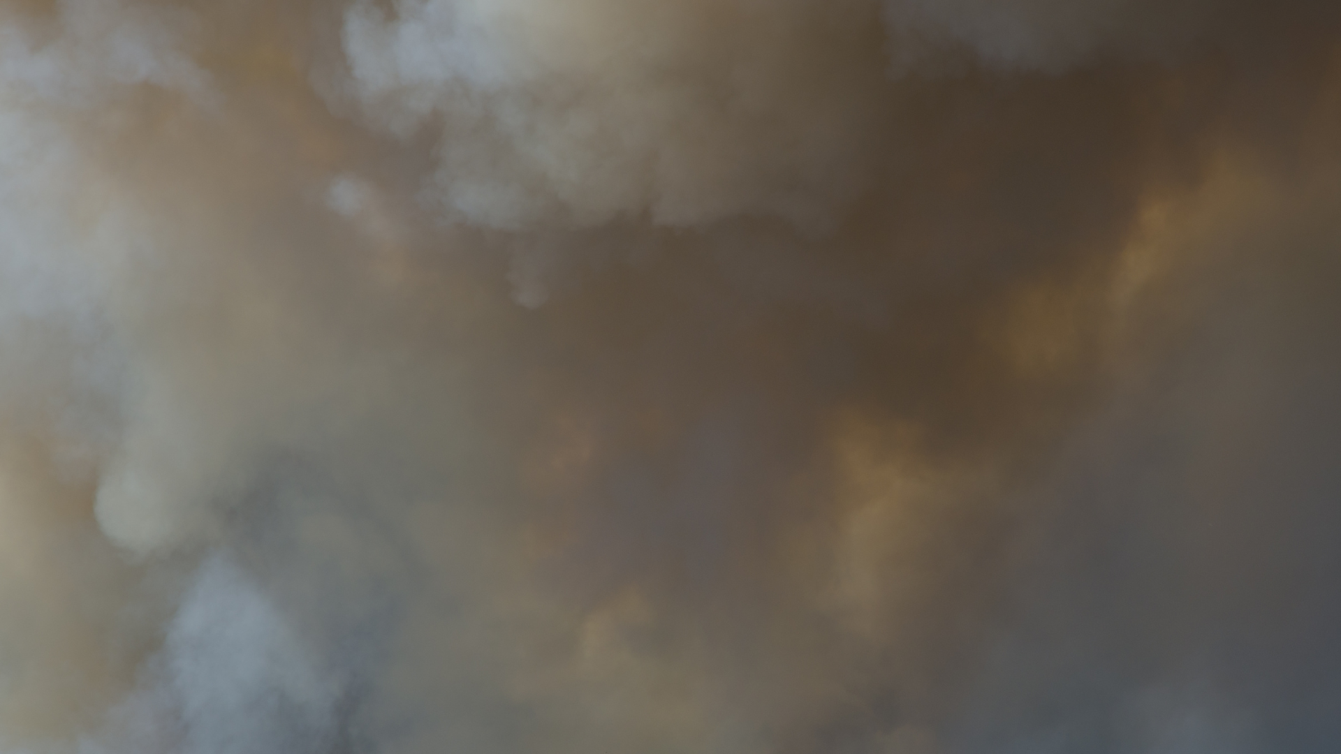 Pro Fire Corso singolo Newsletter 335x290 Presentazione 9